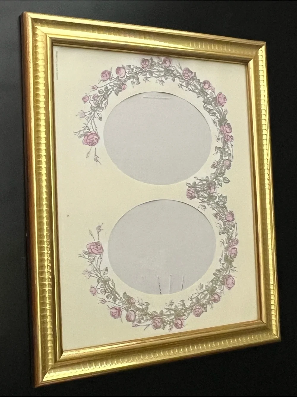 Gold Double Oval Floral Picture Frame Mat 8 x 10